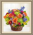 Colorful Seasons Nursery & Floral, 3400 Dakota St, Alexandria, MN 56308, (320)_762-1548